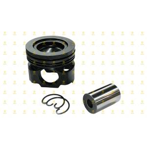 10146367 / PISTON 
