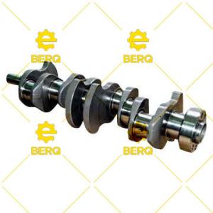 12272491 / GM1176-1 / KRANK MİLİ