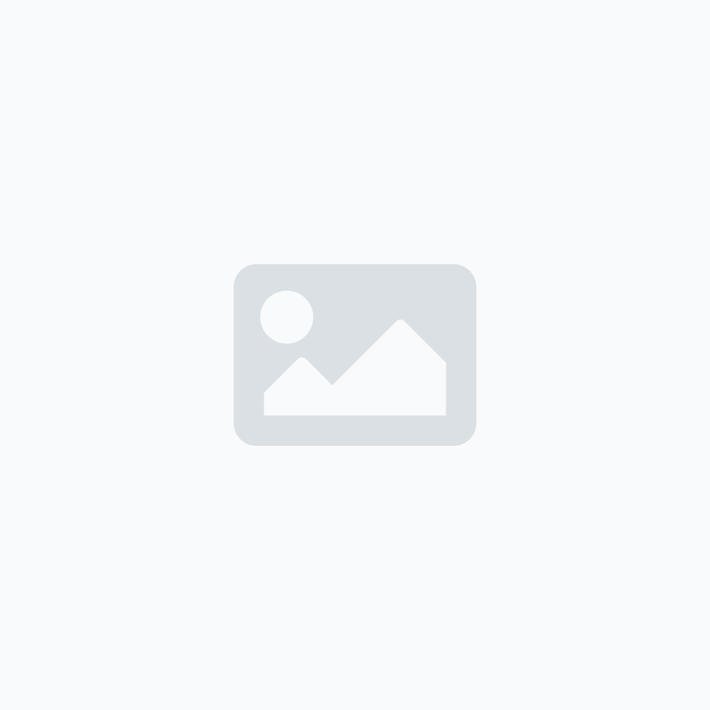 TEMPERATURE SENSOR  244-3106
