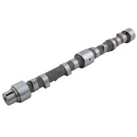 3141D131 / EKSANTRİK MİLİ