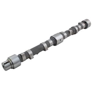 3141D131 / EKSANTRİK MİLİ