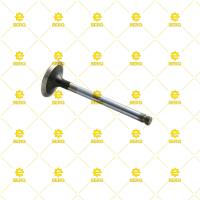 3142L081 / EMME SUBAP