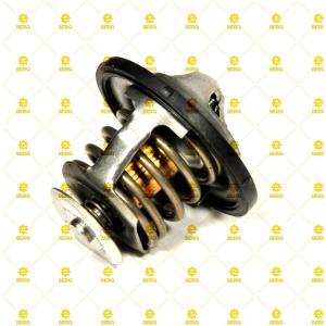 320/04618 / TERMOSTAT 