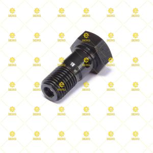 4138A017 / YAĞ JET CİVATASI
