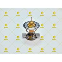 4204796 / BFM1012 / TERMOSTAT 