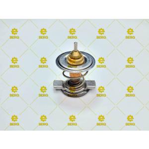 4204796 / BFM1012 / TERMOSTAT 