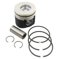 4271974/91 PISTON 30x68    RING 3X2X3