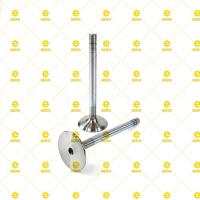 R79623 / 2040 / IN  VALVE