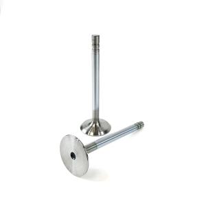 R79623 / 2040 / IN  VALVE